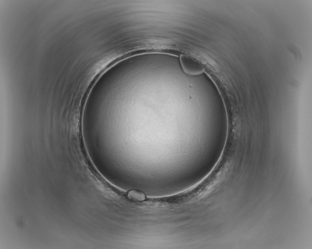 X0000113141081200909041204