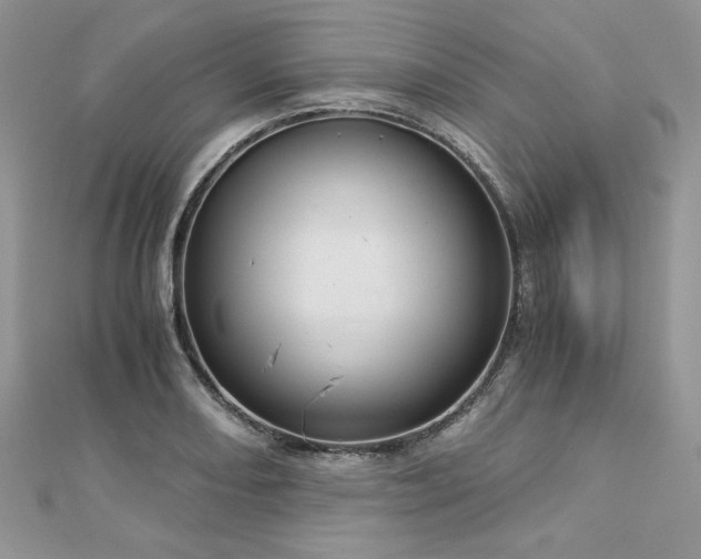 X0000113141082200909041204