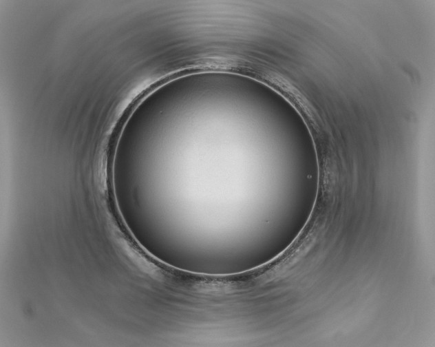 X0000113141083200909041204