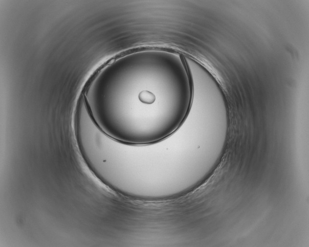 X0000113141084200909041204