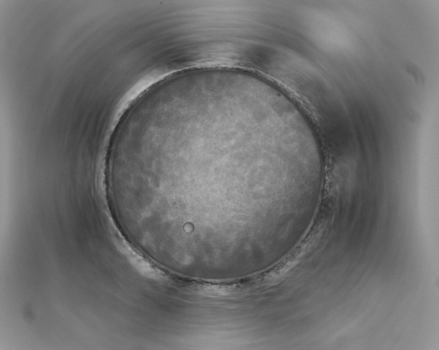 X0000113141086200909041204