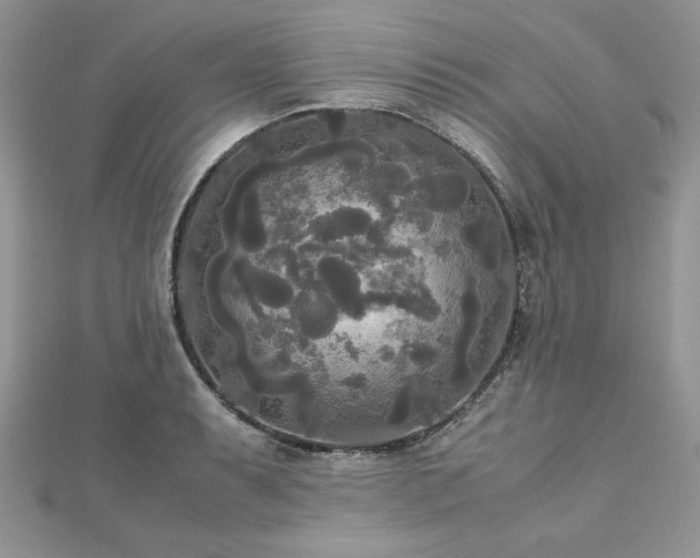 X0000113141087200909041204