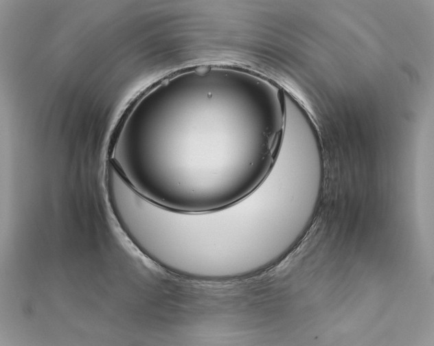 X0000113141088200909041204