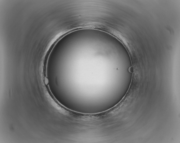 X0000113141091200909041204