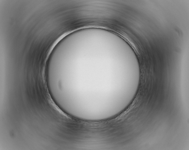 X0000113141092200909041204