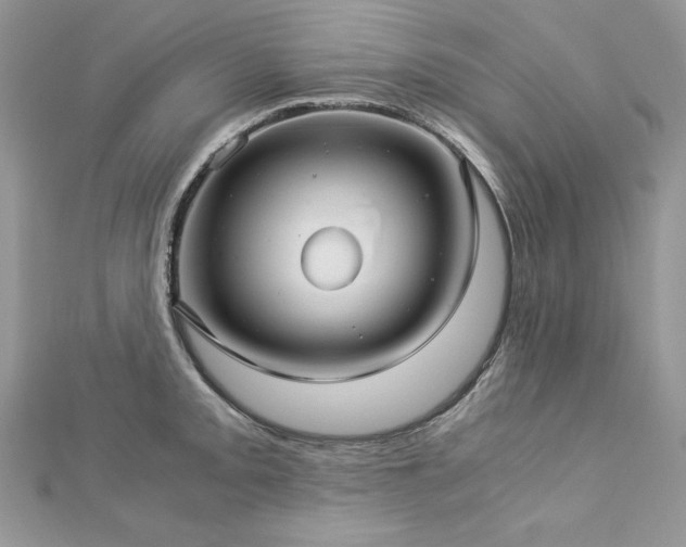 X0000113141093200909041204