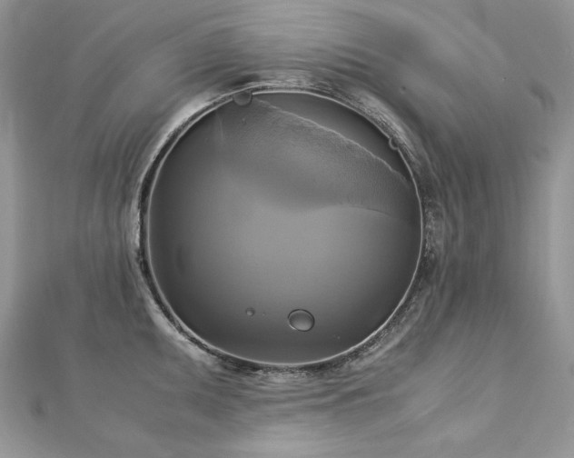 X0000113141095200909041203