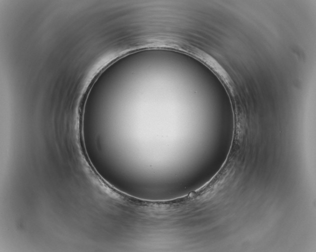 X0000113141096200909041203