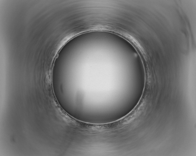 X0000113141097200909041203