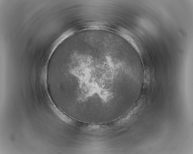 X0000113141098200909041203
