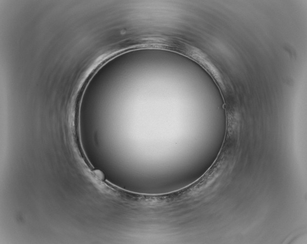 X0000113141099200909041203