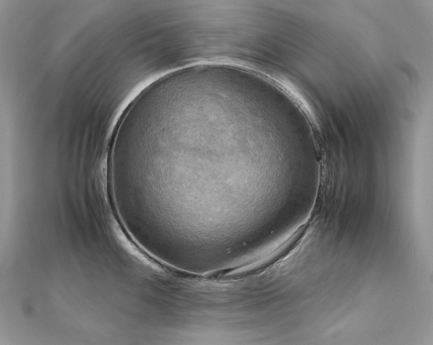 X0000113141100200909041203