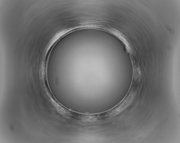 X0000113141101200909041203