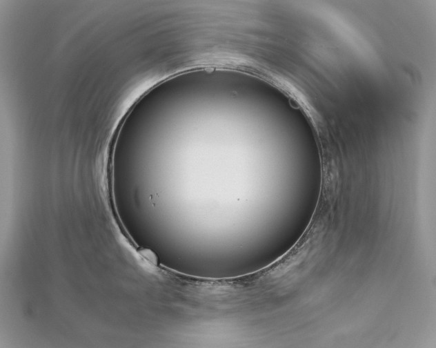 X0000113141103200909041203