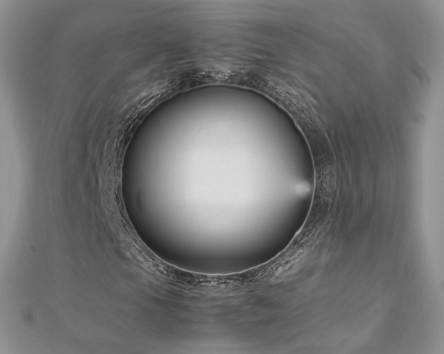X0000113141105200909041203