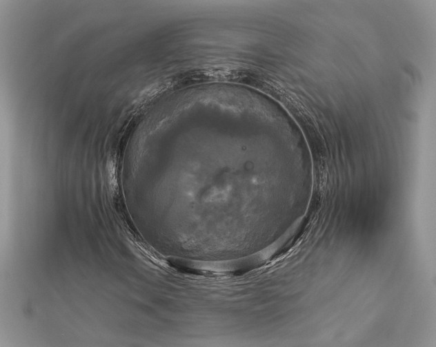 X0000113141106200909041203