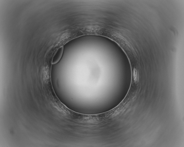 X0000113141107200909041203