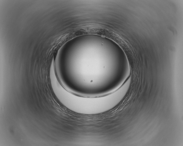 X0000113141108200909041203