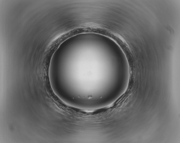 X0000113141112200909041203