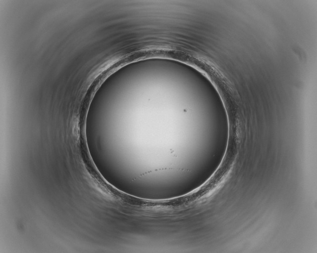X0000113141113200909041203