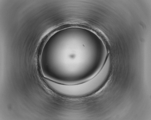 X0000113141114200909041203
