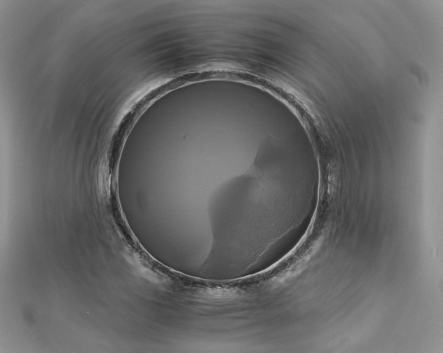 X0000113141117200909041203