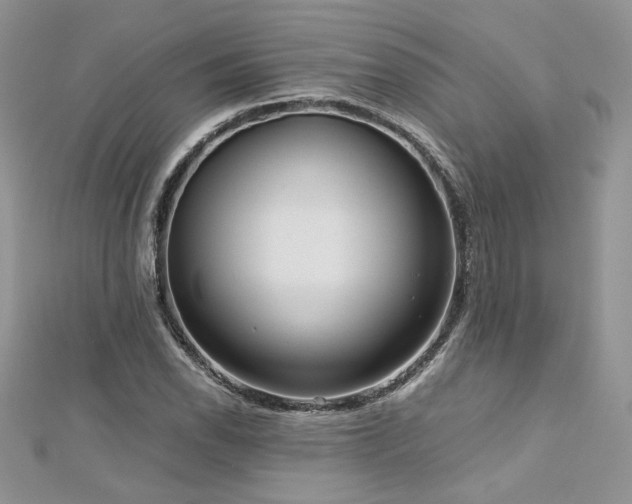 X0000113141118200909041203