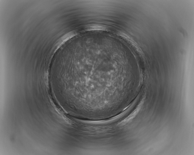 X0000113141121200909041203