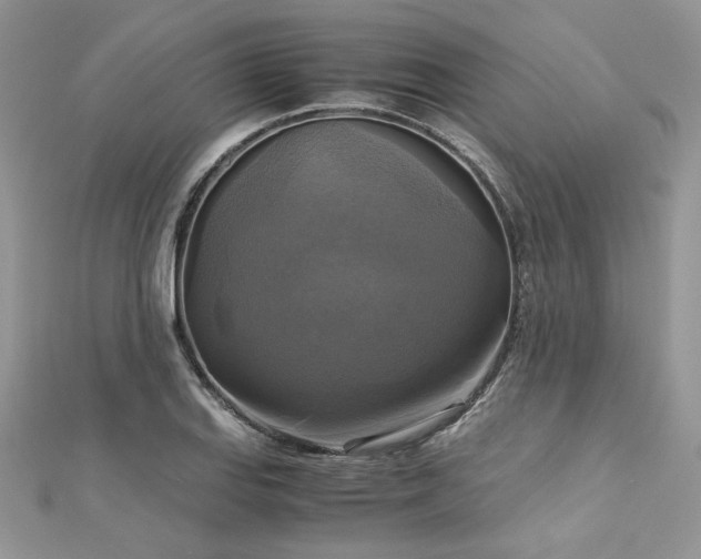 X0000113141127200909041203
