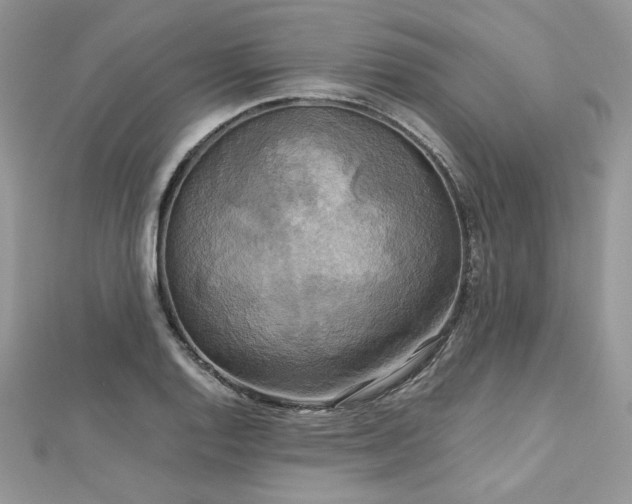 X0000113141128200909041203