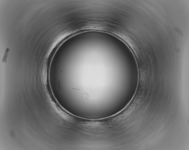 X0000113141131200909041203