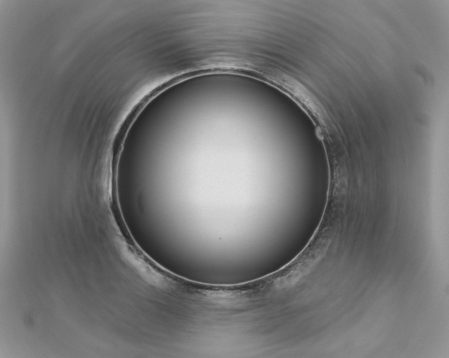X0000113141132200909041203