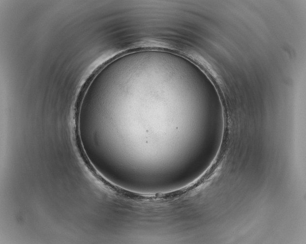 X0000113141133200909041203