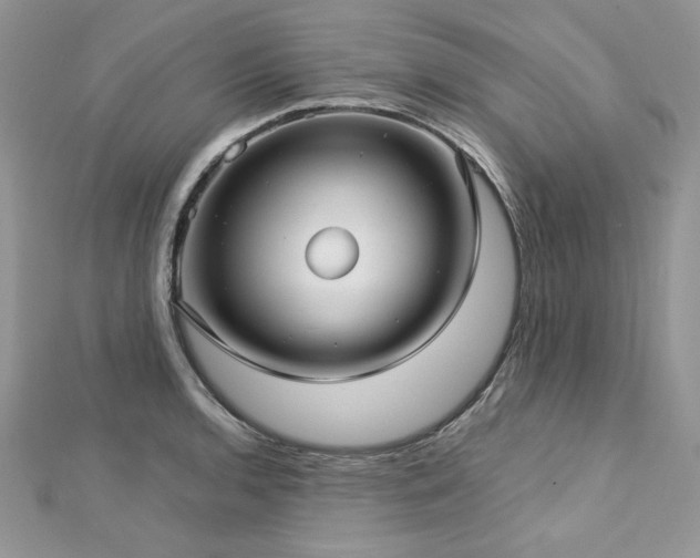 X0000113141136200909041203