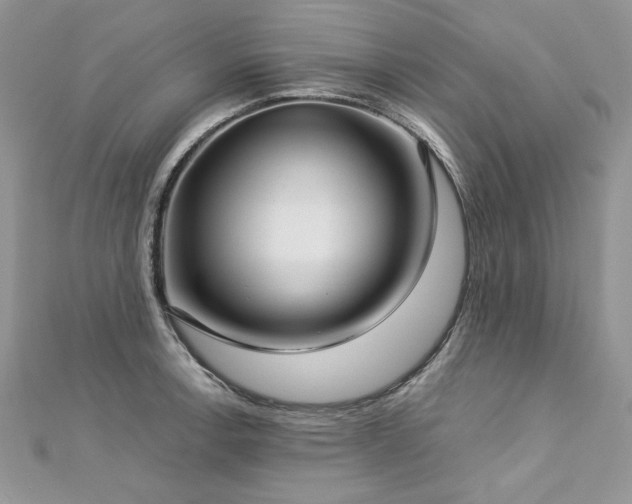 X0000113141138200909041203