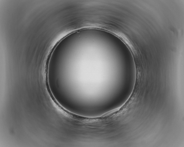 X0000113141143200909041203