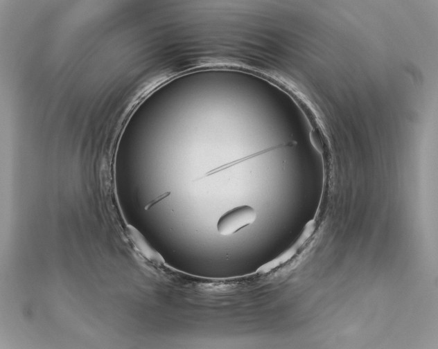 X0000113141145200909041203