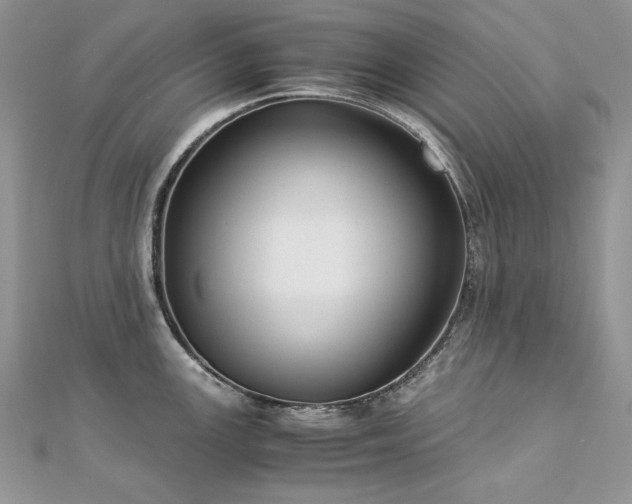 X0000113141147200909041203