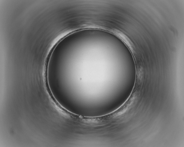 X0000113141149200909041203