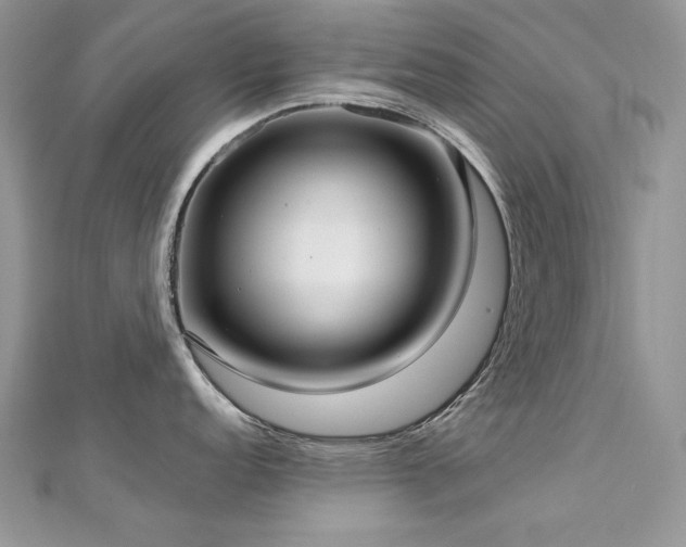 X0000113141152200909041203