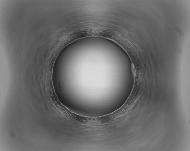 X0000113141153200909041203