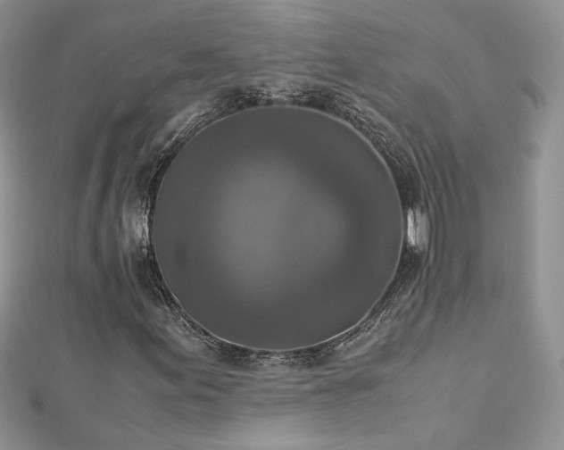 X0000113141155200909041203