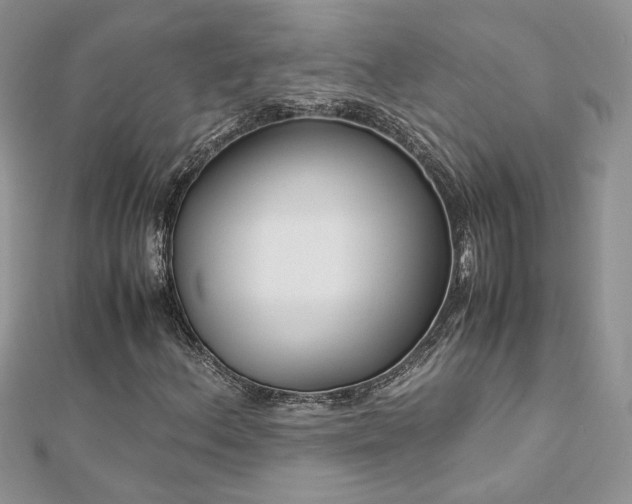 X0000113141156200909041203
