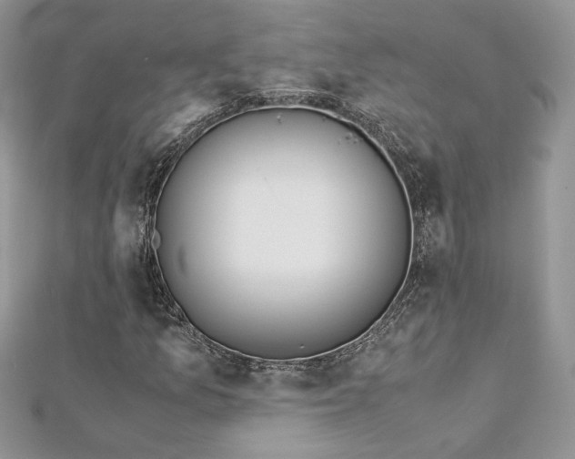 X0000113141157200909041203
