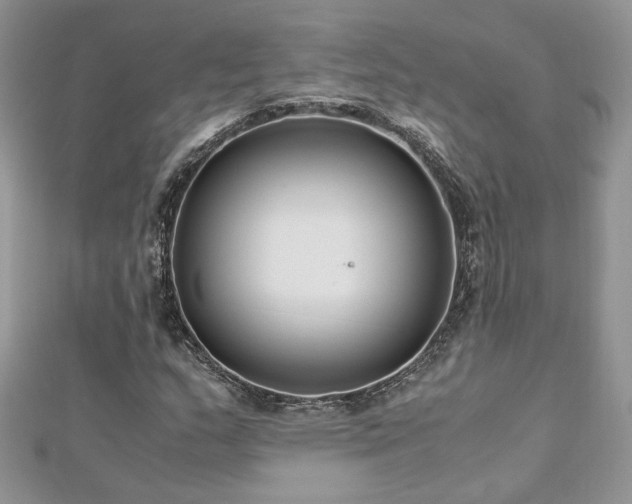 X0000113141159200909041203