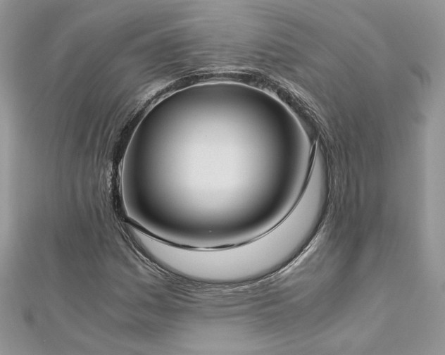 X0000113141161200909041203
