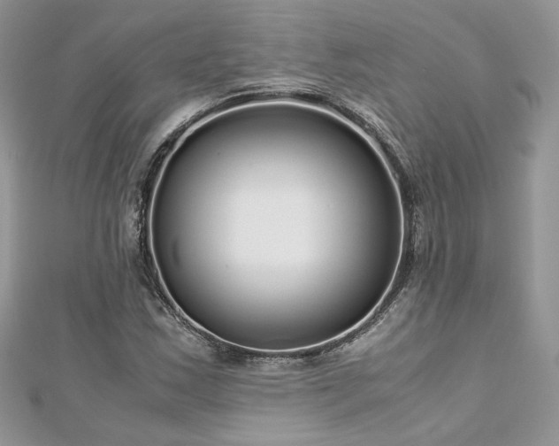 X0000113141163200909041203