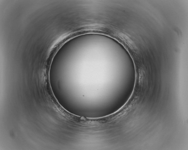X0000113141164200909041203