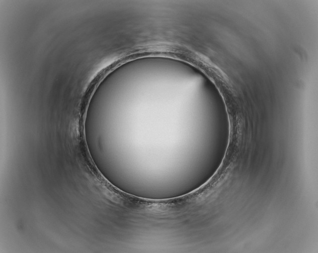 X0000113141166200909041203