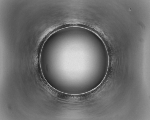 X0000113141167200909041202